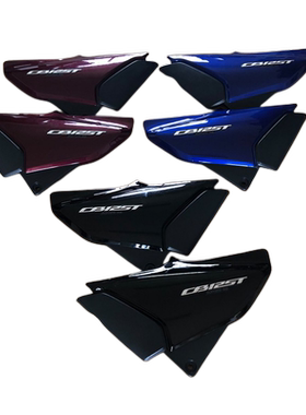 摩托车锐猛太子CB125T SDH125-56左右边盖电池护板侧盖