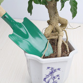 铁铲子 花园常备迷你小铲子 家庭园艺工具 花铲挖土挖起苗器工具