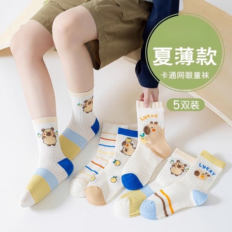 男童袜子夏季薄款棉袜透气女童卡通卡皮巴拉中筒儿童中大童学生袜