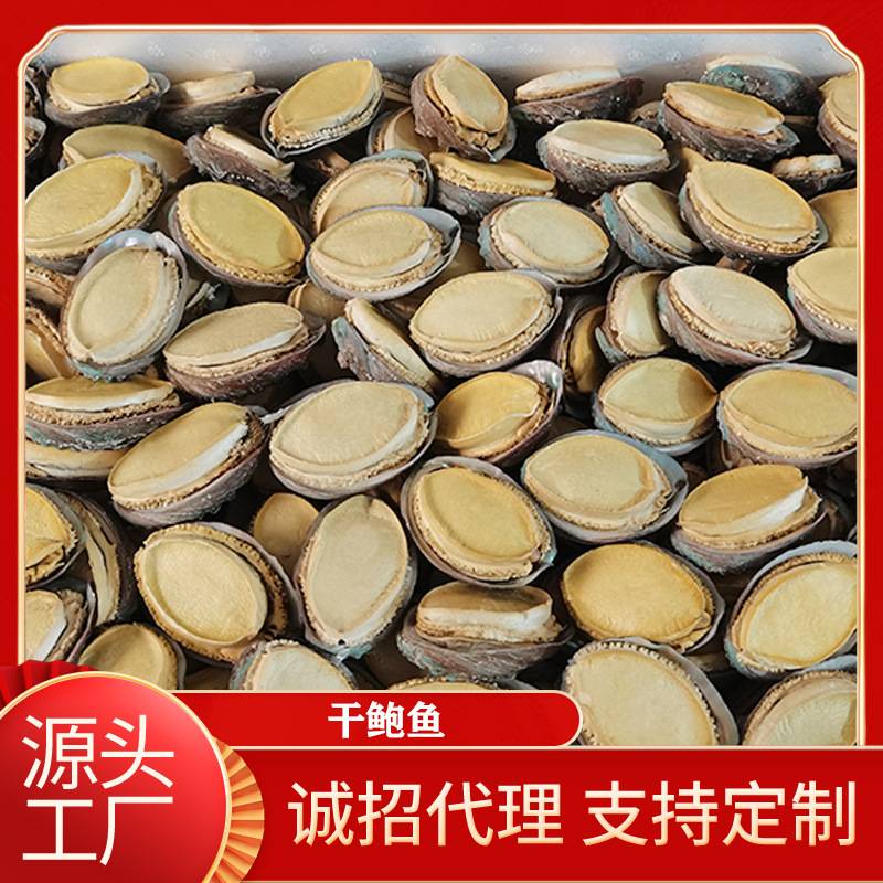 带壳鲍鱼干FD鲍鱼干冻干鲍鱼干货海参鲍鱼散装干货礼盒装