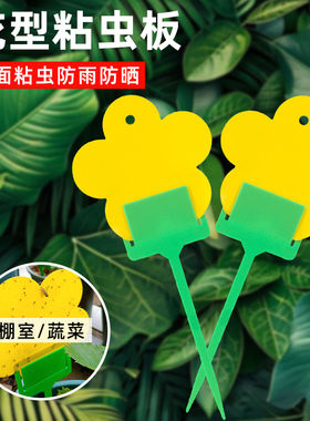 小黄板花型粘虫板小黑飞粘虫板双面防水诱粘剂诱蝇球果蝇果园大棚