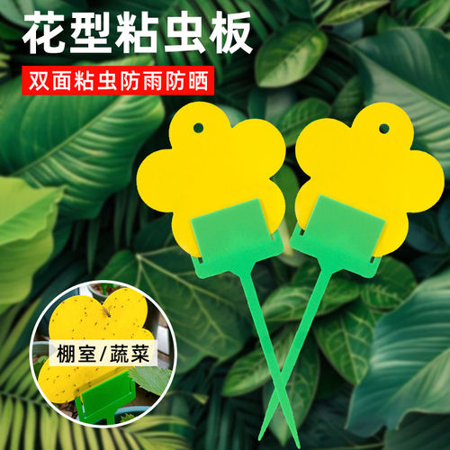 小黄板花型粘虫板小黑飞粘虫板双面防水诱粘剂诱蝇球果蝇果园大棚