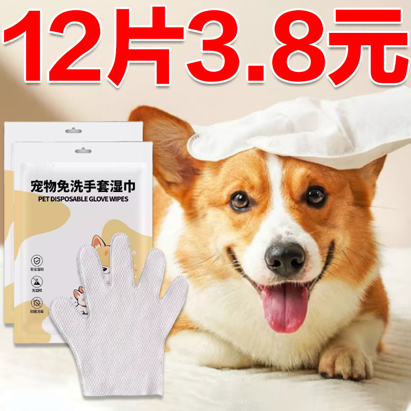 宠物免洗手套猫咪洗澡湿