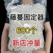 绿植果树植物固定夹卡扣藤蔓固定器秧苗爬藤支撑杆果蔬秧苗吊秧夹