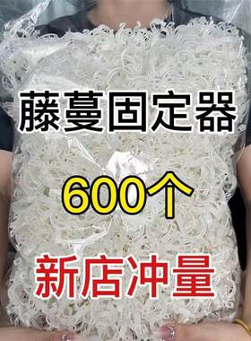绿植果树植物固定夹卡扣藤蔓固定器秧苗爬藤支撑杆果蔬秧苗吊秧夹