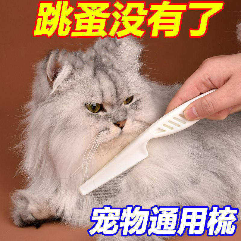 宠物狗狗猫咪除跳蚤虱子