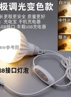 超亮usb灯泡led灯宿舍灯强光灯夜市摆摊灯地摊灯充电宝移动电源灯