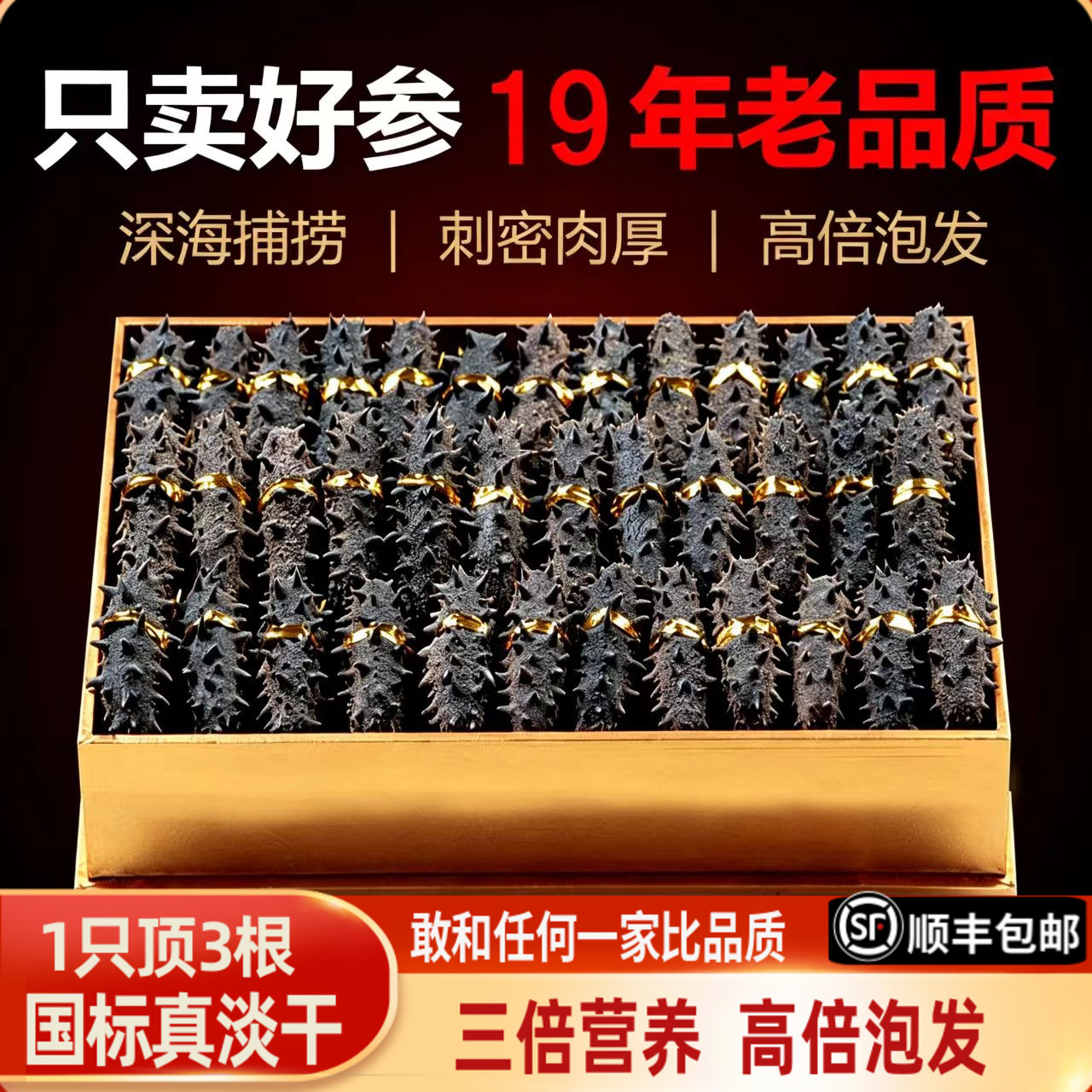 老青岛高档纯淡干底播野生辽刺参海参干货250g送领导长辈特产礼盒