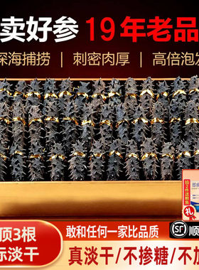 国标淡干海参250g高品质礼盒