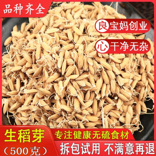 馐馐膳稻芽生稻谷500克包邮