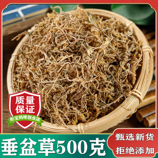 垂盆草中药材500克包邮野生干货统货装无硫新鲜正品垂盆草干货