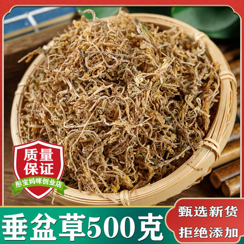 垂盆草中药材500克包邮