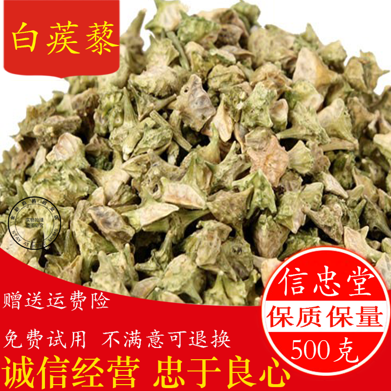 野生刺蒺藜中药材