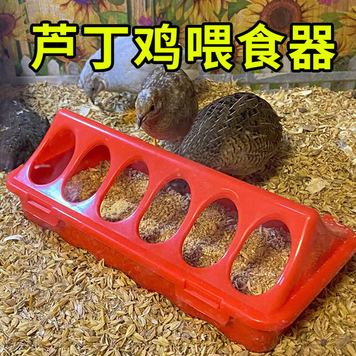 喂食器芦丁鸡食槽料槽