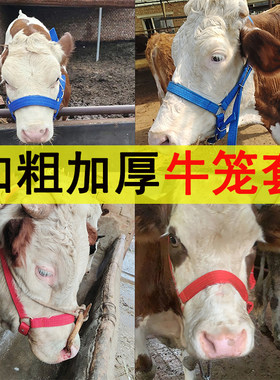 栓牛笼头牛头套牛龙头大小牛带用