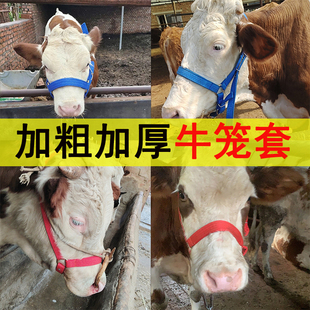 牛笼头牛龙套笼头可调牛头套牛龙头套牛头套大小牛带用栓牛笼头