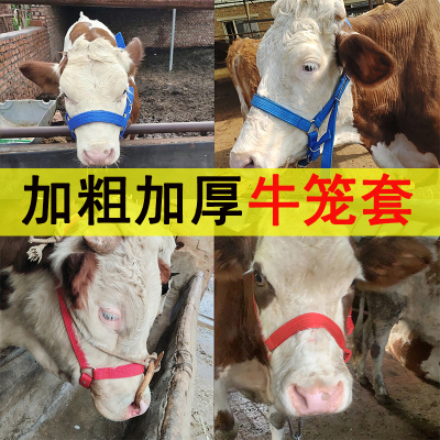 栓牛笼头牛头套牛龙头大小牛带用