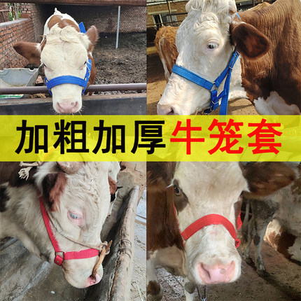 牛笼头牛龙套笼头可调牛头套牛龙头套牛头套大小牛带用栓牛笼头