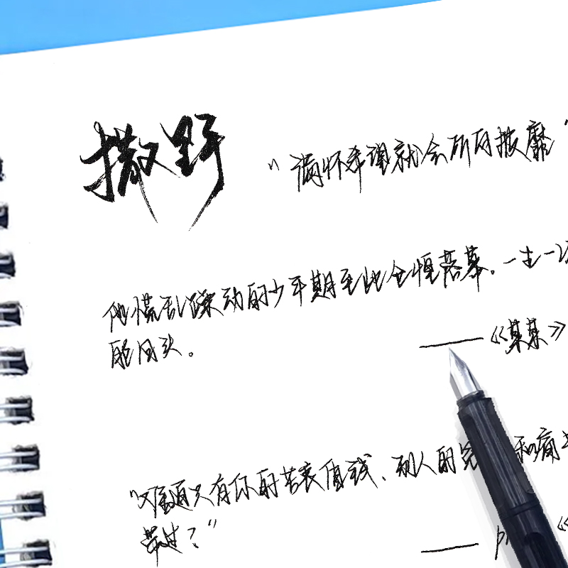 临摹字帖女生字体漂亮学生