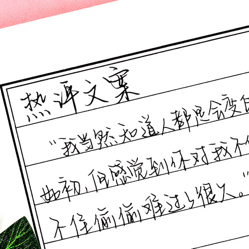 漂亮大学生行书练字帖