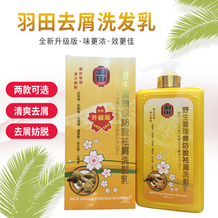 香港购羽田生姜洗发水900ml生姜去头风柔顺茶籽止痒滋养洗发乳