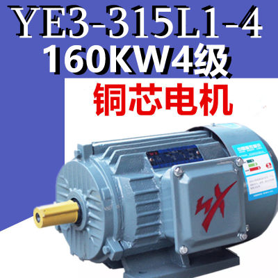 160KW4级电机YE3-315L1-4极三相异步电动机二级千瓦纯铜线马达2X3