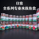 日索NIXO全系列小型鱼饲料仿红虫贴片鱼食慈鲷孔雀灯鱼观赏鱼鱼粮
