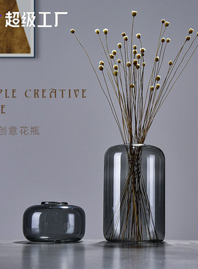 创意ins彩色玻璃花瓶 特色透明水培鲜花瓶花插桌面摆件家装饰花器