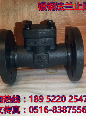 A105黑皮锻钢止回阀H41Y/H-PN25/40/64/100C DN15/20/25/40 阀门