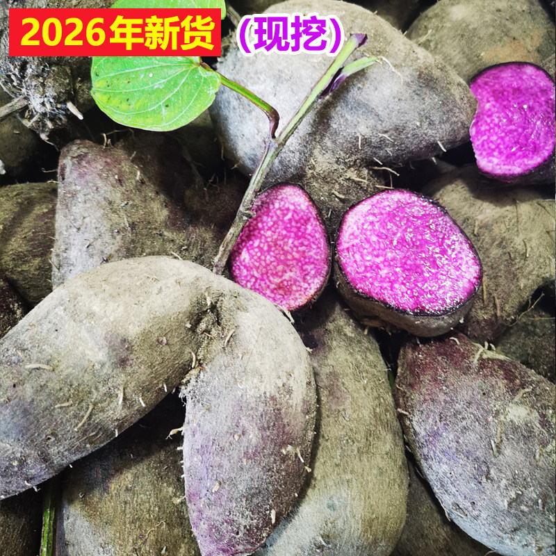 江西赣南农家紫山药脚板薯紫山药新鲜山药