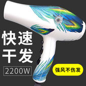 火之凤8960吹风机专用发廊大功率吹风筒理发店家用静音2200瓦速干