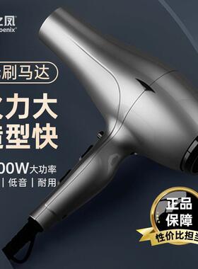 火之凤吹风机6600H发廊专用理发店大功率超静音吹干造型两用风筒