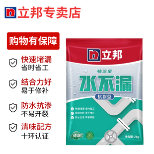 立邦水不漏 堵漏宝 堵漏王 2kg/包