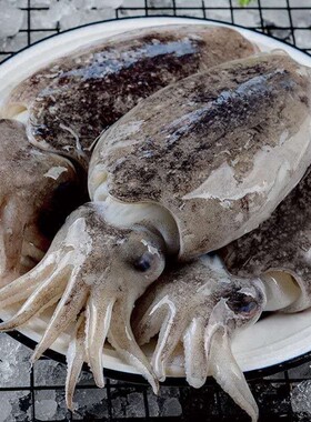 邱记生鲜厨房鲜活海鲜大墨鱼