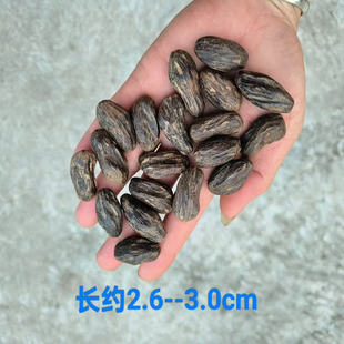 正宗越南沉香随形散珠子 DIY沉香手串手链配饰 散珠长约2.6~3.0cm