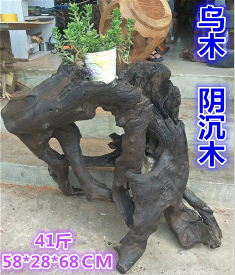 千年沉积阴沉木乌木碳化木料摆件 天然活化石根雕随形原木花架料