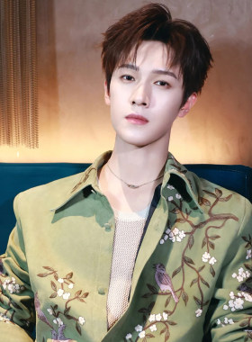 新款李昀锐明星同款绿色花鸟刺绣衬衫男长袖翻领高级感中国风休闲