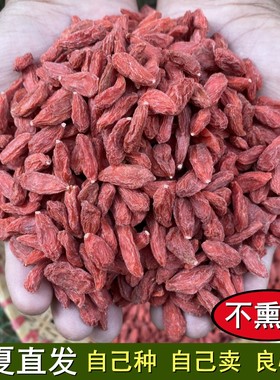 枸杞子宁夏特级500g250g正宗头茬大果天然大颗粒免洗中宁泡酒泡茶