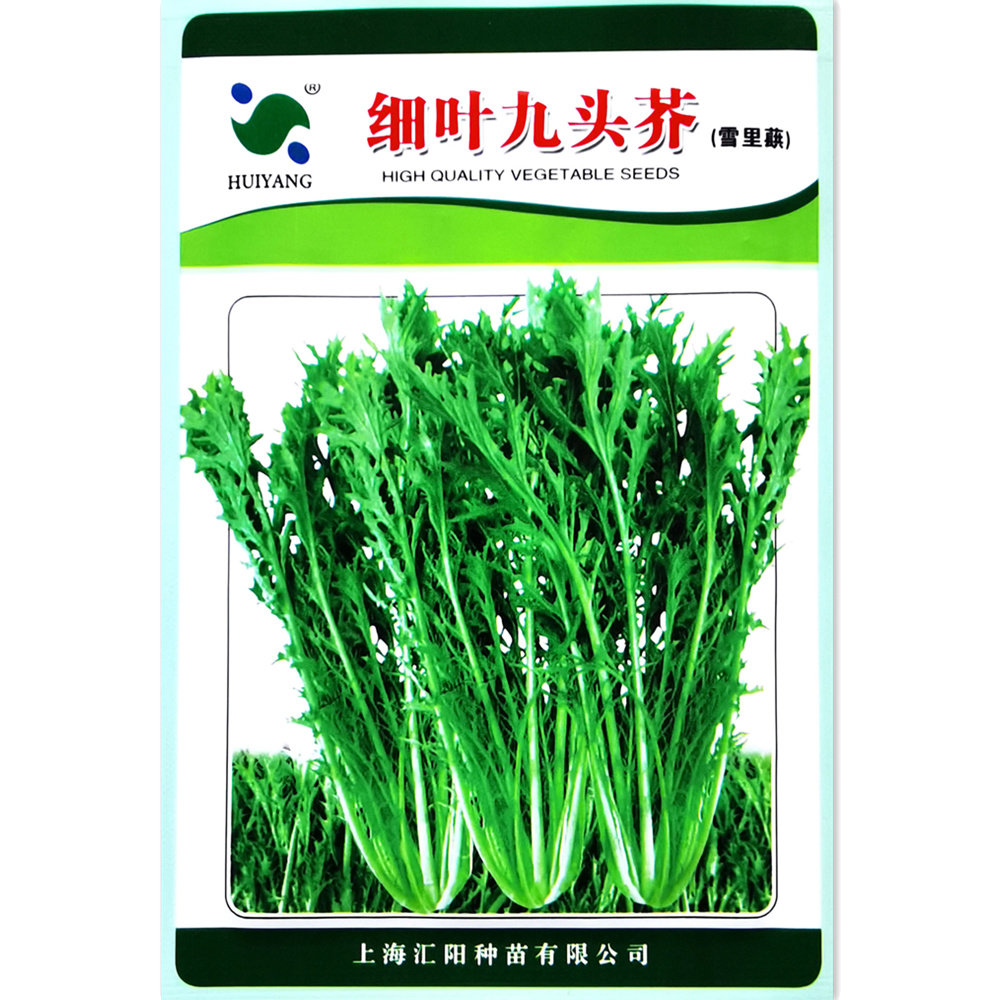 特耐寒细叶九头菜种子 四季高产花叶香浓质嫩雪里蕻种籽 庭院种孑