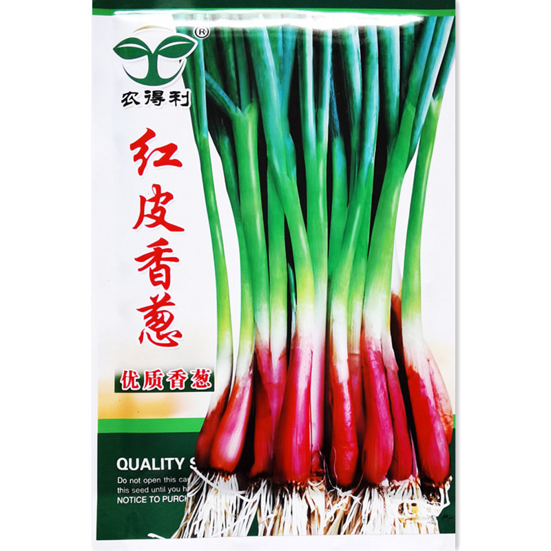 红皮小香葱种子春秋抗旱浓香四季分葱种籽农家庭院阳台蔬菜种孑