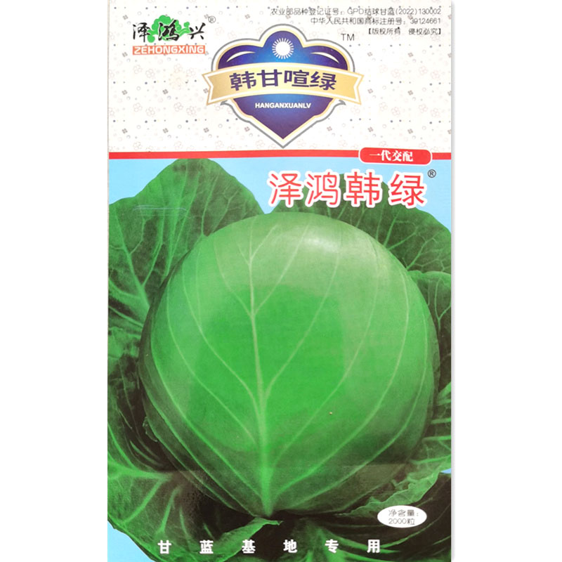 泽鸿韩绿水果甘蓝种子春秋黄心包菜种籽耐热耐裂基地专用蔬菜种孑