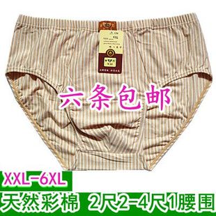肥佬内裤 纯棉内裤 中老年高腰加肥特大码 三角内裤 男士 天然彩棉