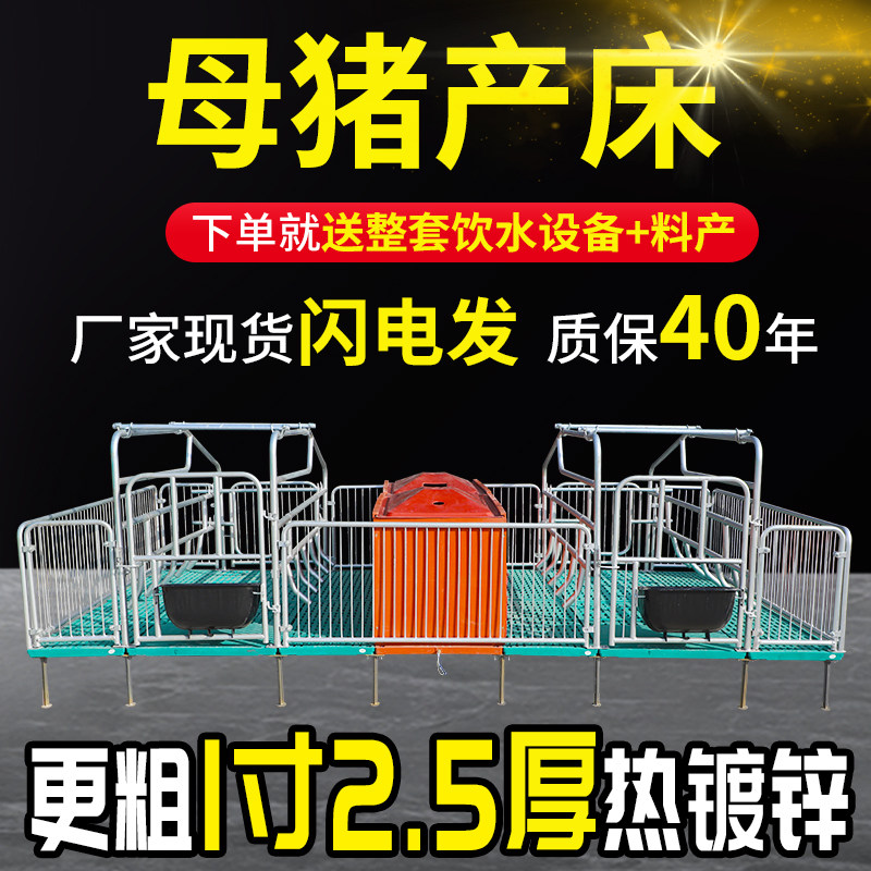 母猪产床两用落地式养殖设备