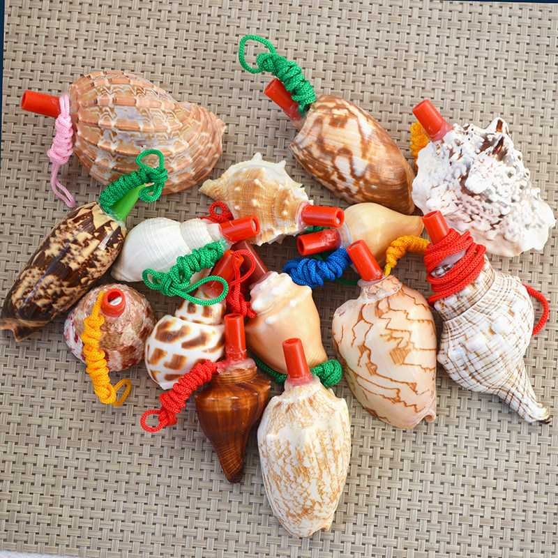 天然海可吹喇叭口哨儿童贝壳玩具工艺品旅游礼物地摊货源