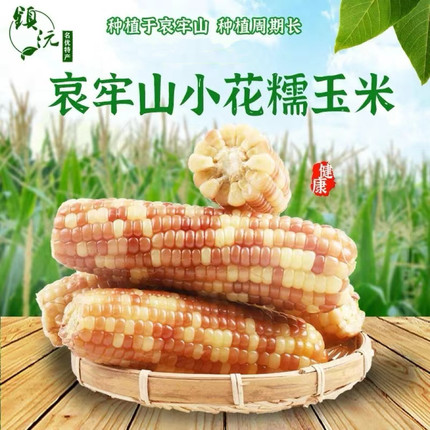 云南西双版纳甜糯玉米2斤新鲜现摘真空香糯即食黏小花糯玉米代餐