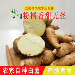 云南白心白薯白皮山药新鲜5斤普洱老品种农家自种正宗板栗粉包邮