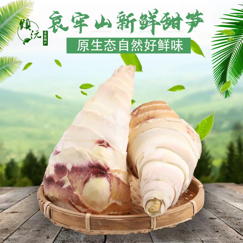 云南竹笋新鲜甜笋正宗普洱镇沅高原当季蔬菜现挖脆嫩生吃春笋顺丰