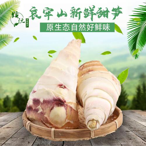 云南甜笋新鲜脆现挖3斤顺丰包邮