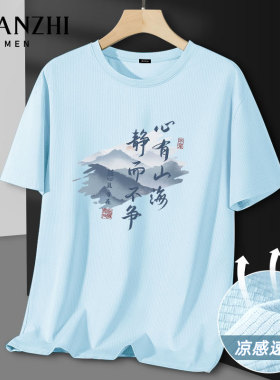 棉致国风静而不争冰丝短袖t恤男蓝色速干透气青少年夏季运动体恤