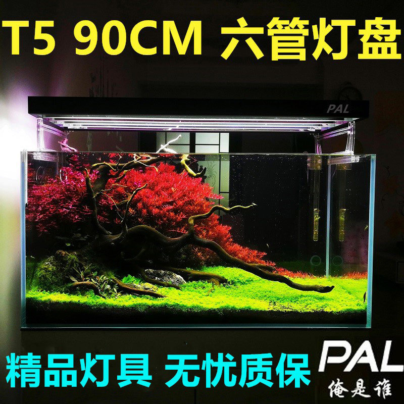 俺是谁PAL90cm长T5HO六管灯具 多肉/水草缸/海水缸灯盘鱼缸灯管架在类目 宠物/宠物食品及用品, 水族世界, 鱼缸等水族设备, 照明器材中 - 来自Buy2taobao.com提供专业的淘宝代购服务